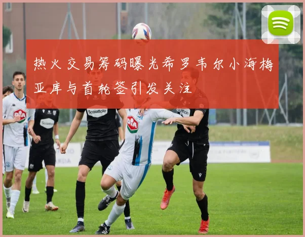 热火交易筹码曝光希罗韦尔小海梅亚库与首轮签引发关注