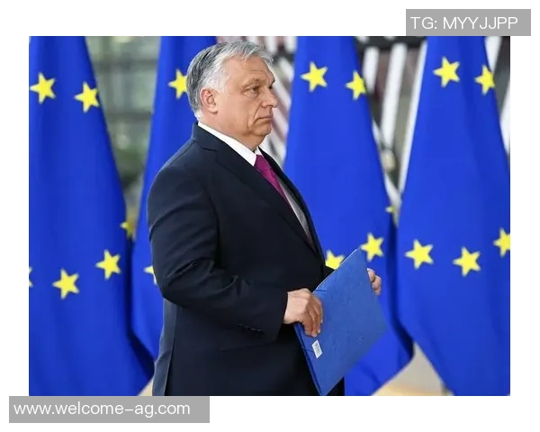 马雷斯卡与高层关系紧张拒绝对争议言论作出解释